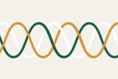 Logo for Canberra